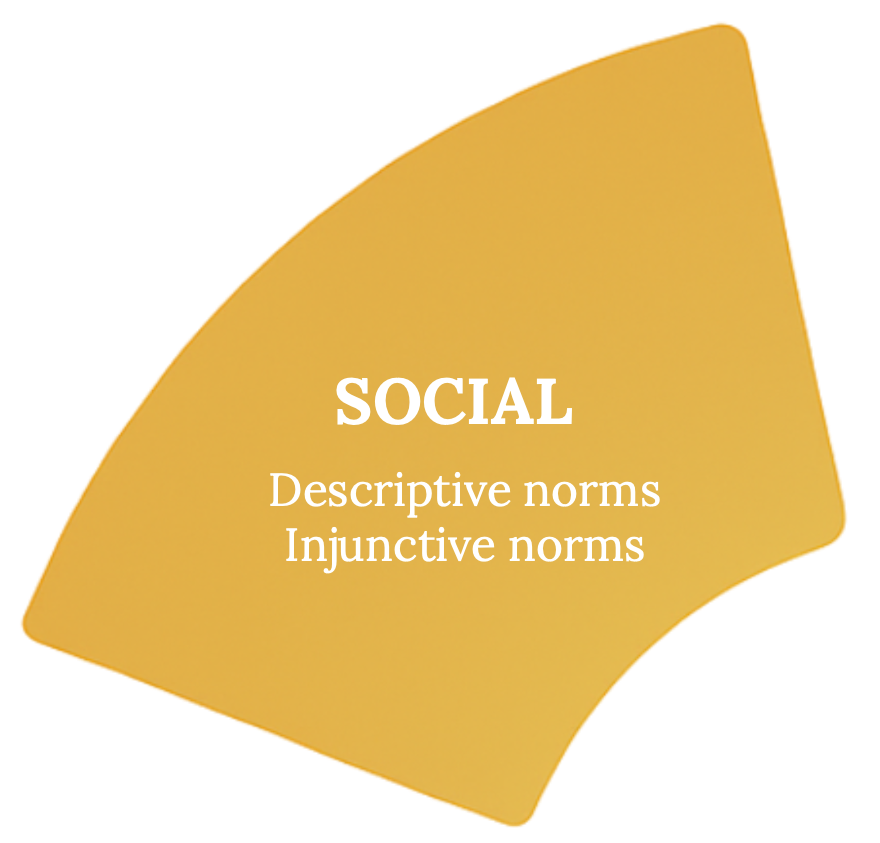 Social layer of The Snail Psychology