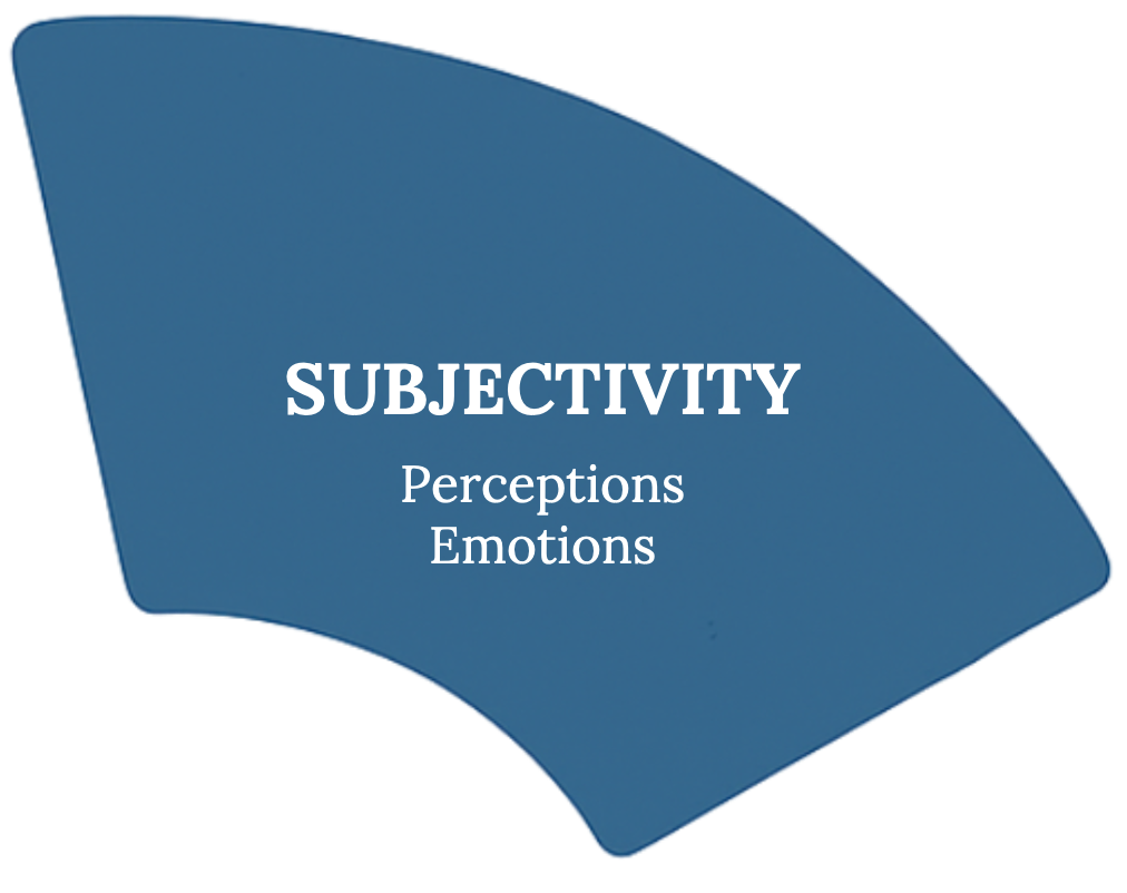Subjectivity layer of The Snail Psychology